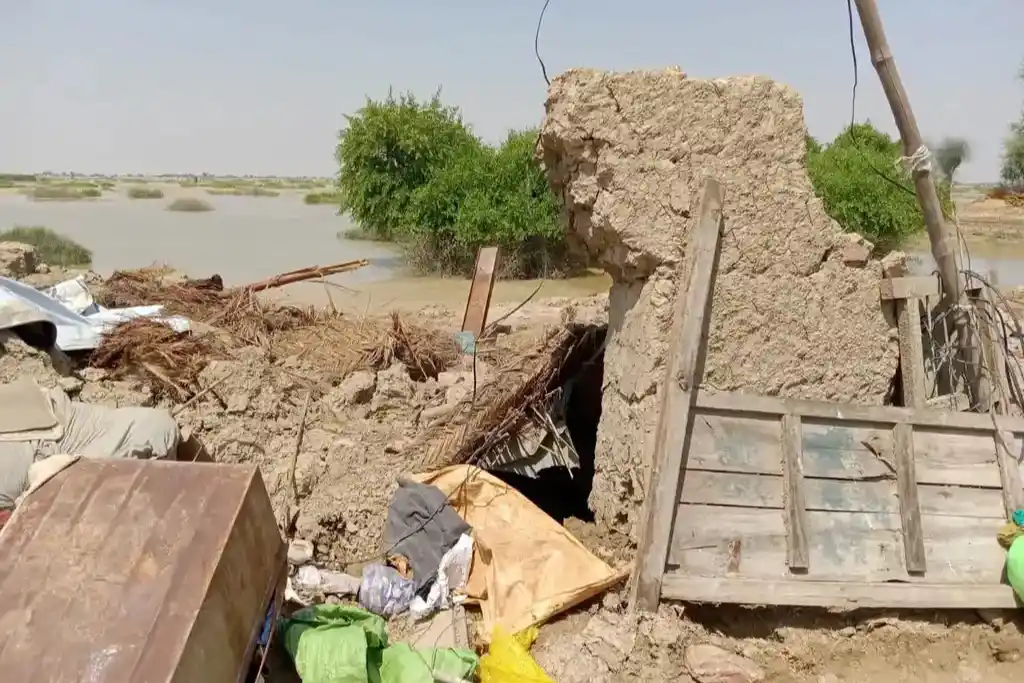 Protecting Our Planet Raising Awareness for a Sustainability